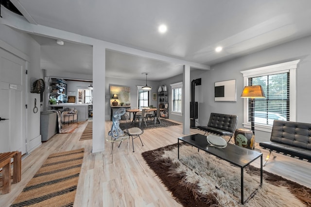 living room with light hardwood / wood-style floors