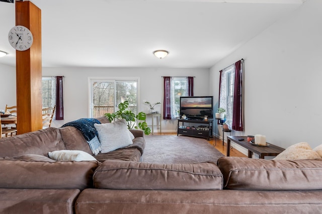 living room featuring a healthy amount of sunlight and wood-type flooring