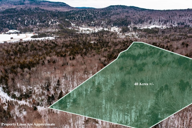 M9L11-1 Egypt Mountain Rd, Bethel ME, 04217 land for sale