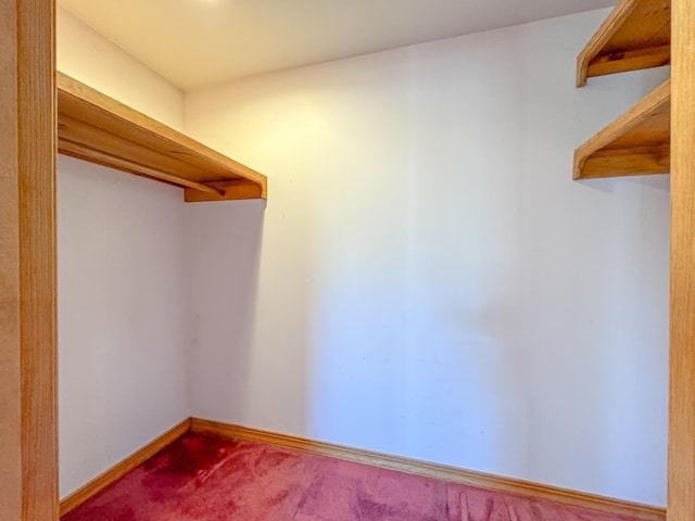 spacious closet featuring carpet floors