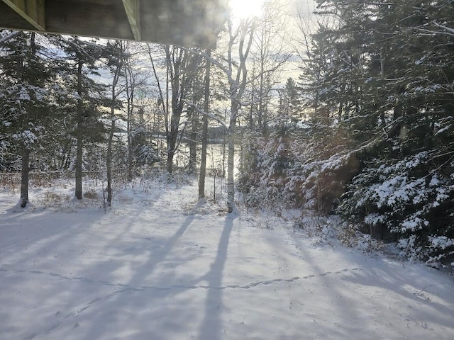 view of yard layered in snow