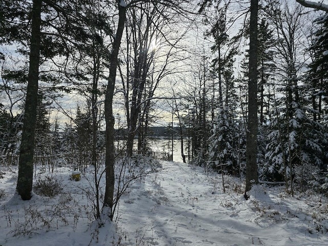 view of snowy landscape