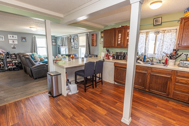 kitchen with a textured ceiling, dark hardwood / wood-style floors, and sink