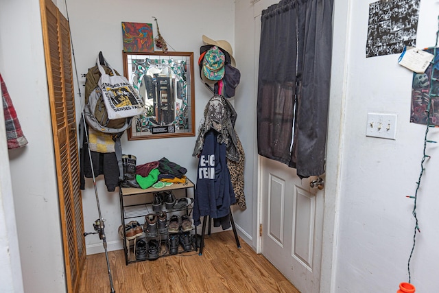 foyer with wood-type flooring