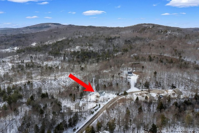 snowy aerial view with a mountain view