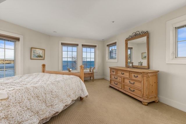 carpeted bedroom with a water view