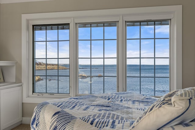 carpeted bedroom featuring a water view and multiple windows