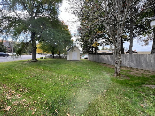 view of yard with a storage shed