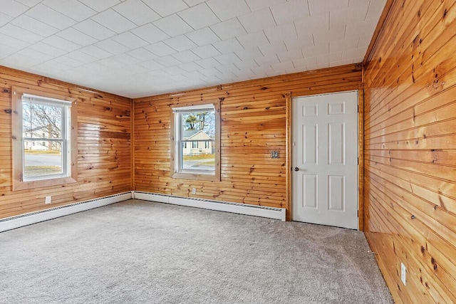 carpeted empty room with wood walls and a healthy amount of sunlight