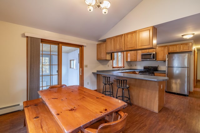 kitchen with lofted ceiling, kitchen peninsula, sink, appliances with stainless steel finishes, and dark hardwood / wood-style flooring