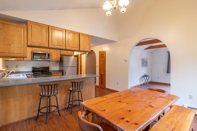 kitchen featuring dark hardwood / wood-style flooring, stainless steel appliances, sink, kitchen peninsula, and high vaulted ceiling