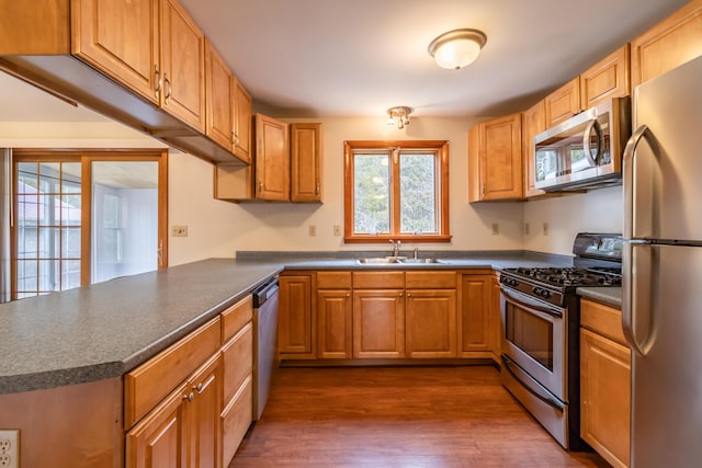 kitchen with kitchen peninsula, appliances with stainless steel finishes, sink, and dark hardwood / wood-style floors