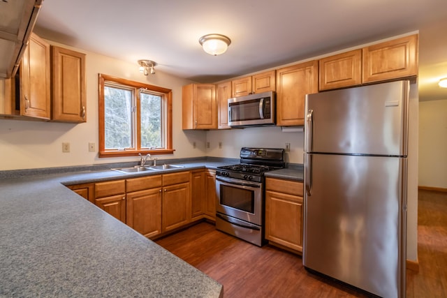 kitchen featuring stainless steel appliances, dark hardwood / wood-style floors, and sink