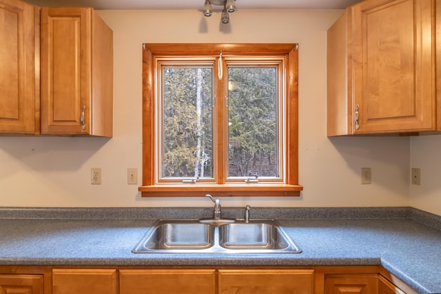 kitchen with sink