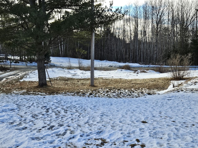 view of yard layered in snow