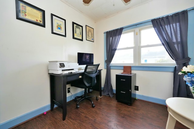 home office featuring ornamental molding, ceiling fan, and dark hardwood / wood-style flooring