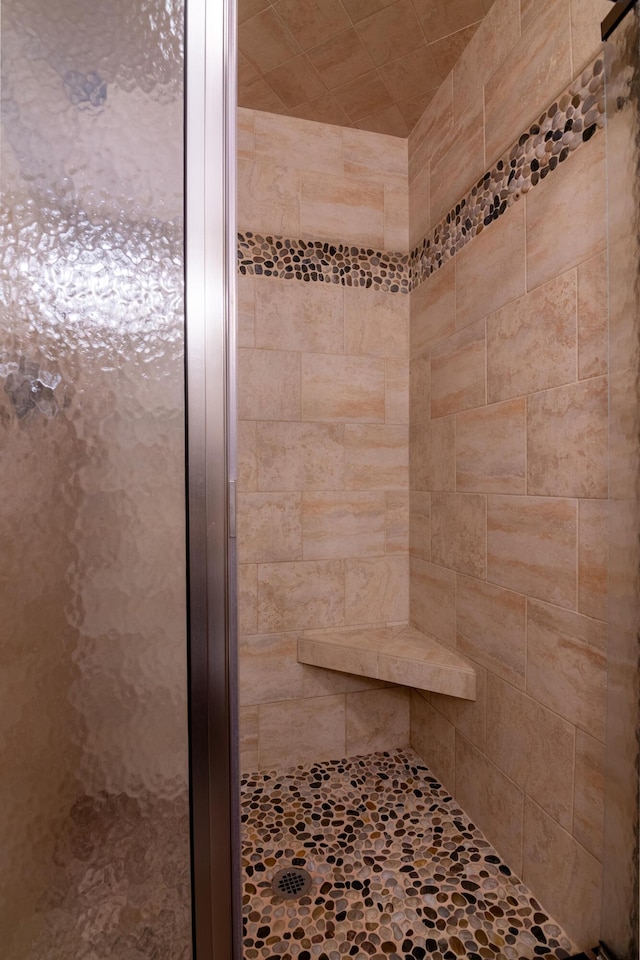 bathroom featuring a shower with shower door