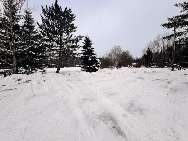 view of snow covered land