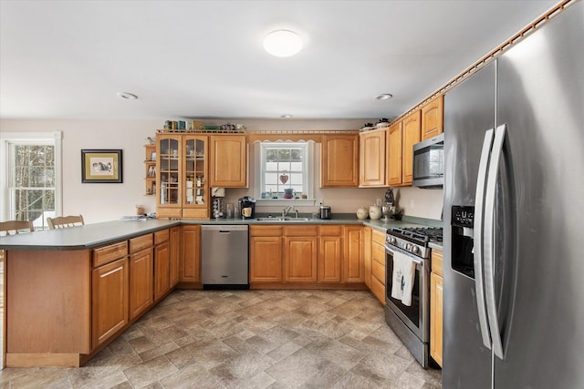 kitchen with kitchen peninsula, sink, and stainless steel appliances