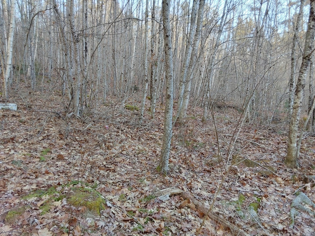 0 County Rd, Jefferson, ME 04348 - photo 2