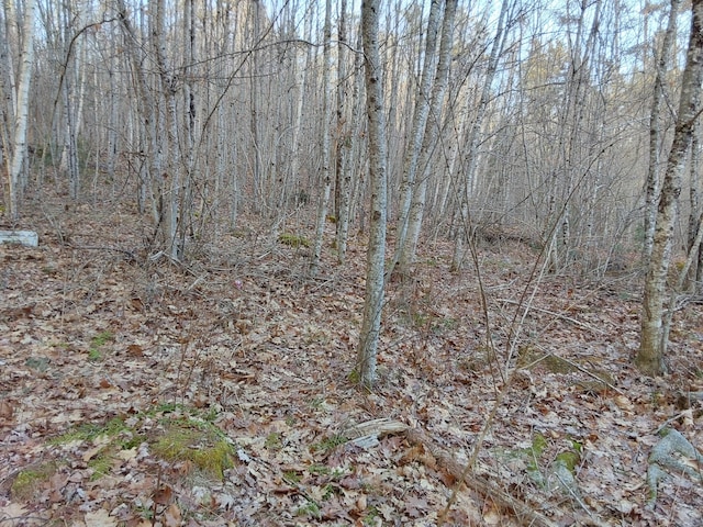 0 County Rd, Jefferson, ME 04348 - photo 2