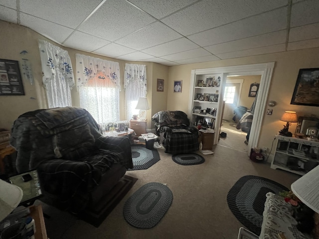 living room featuring carpet floors and a drop ceiling