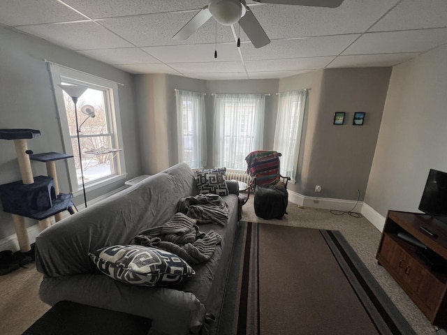 carpeted living room with a wealth of natural light, ceiling fan, and a paneled ceiling