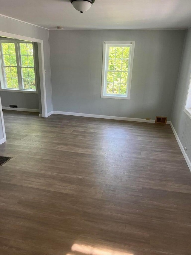 empty room featuring dark wood-type flooring and plenty of natural light