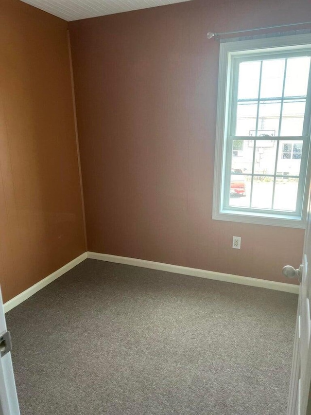 unfurnished room with carpet