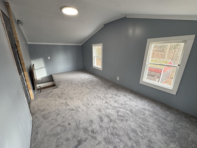 additional living space with carpet flooring and vaulted ceiling