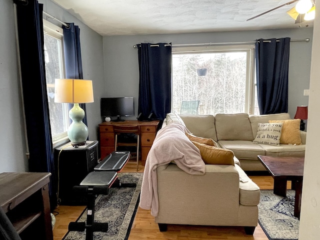 living room with ceiling fan and hardwood / wood-style floors