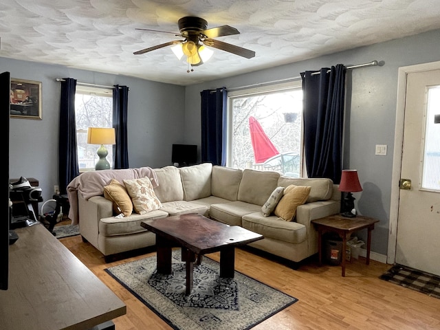 living room featuring ceiling fan, a textured ceiling, and light wood-type flooring