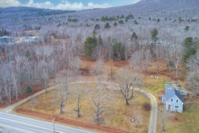 drone / aerial view with a mountain view