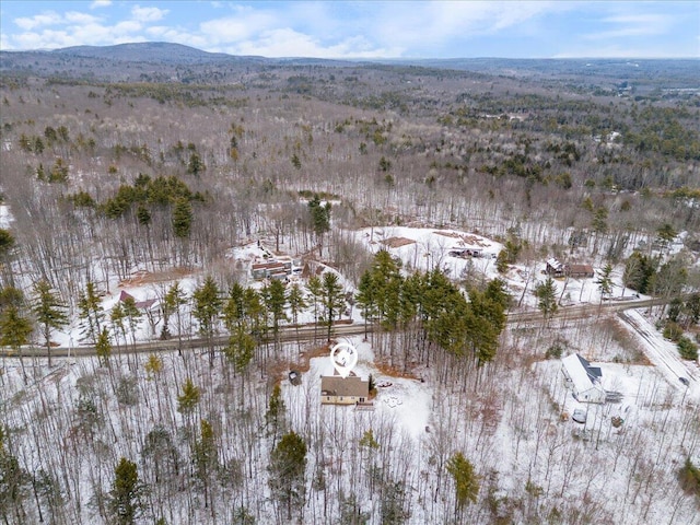 snowy aerial view with a mountain view