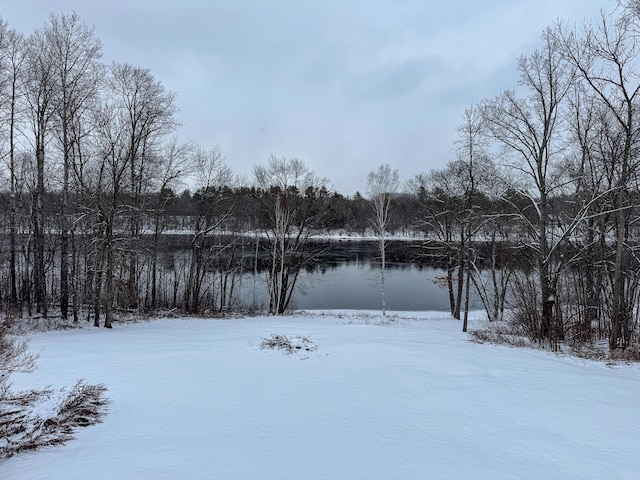 snowy yard with a water view