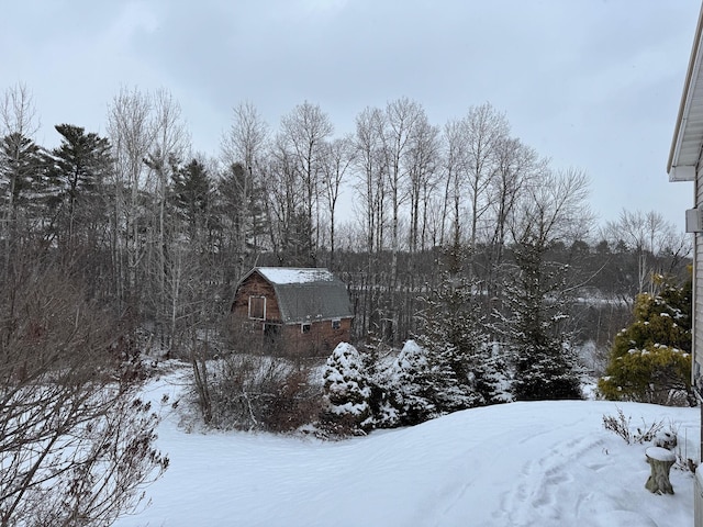 view of yard covered in snow