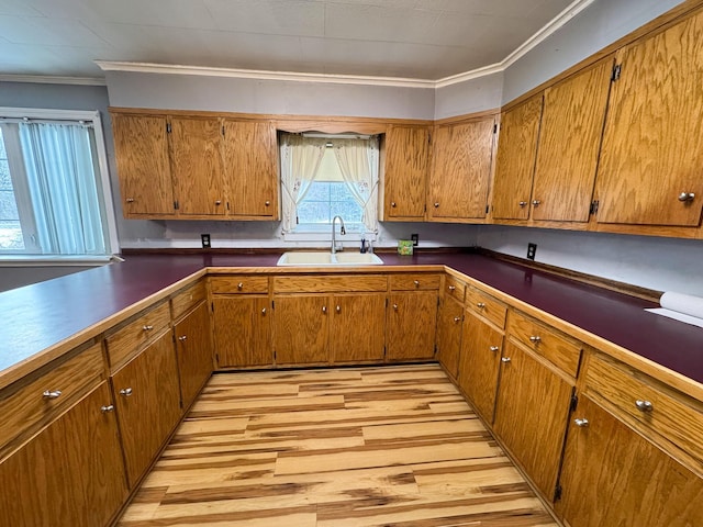 kitchen featuring ornamental molding, light hardwood / wood-style floors, and sink