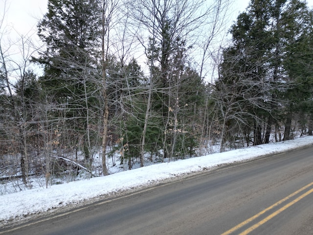 Listing photo 3 for TBD Bottle Lake Rd, Lakeville ME 04487