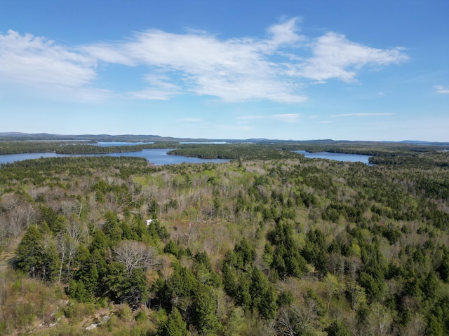 TBD Bottle Lake Rd, Lakeville, ME 04487