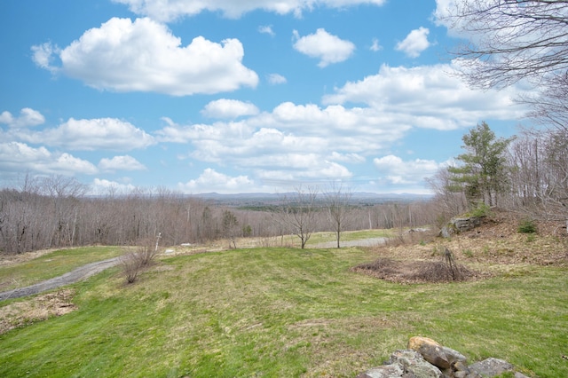 view of yard with a rural view