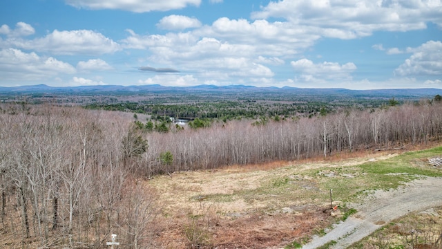 property view of mountains