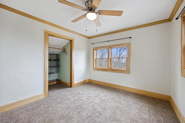 unfurnished bedroom featuring ornamental molding, a closet, carpet floors, a walk in closet, and ceiling fan