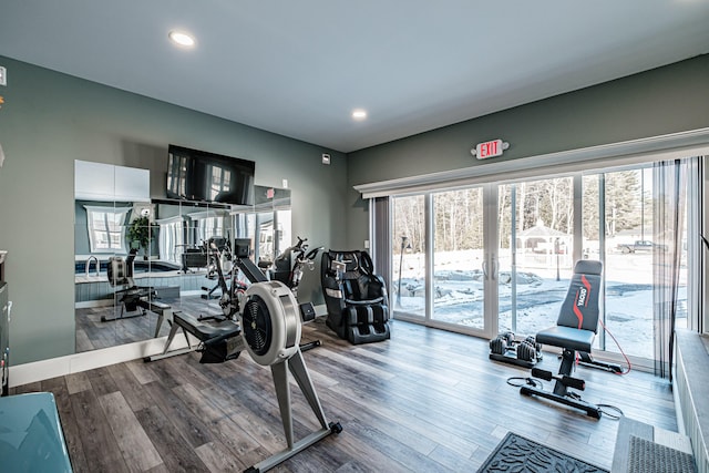 exercise room featuring wood-type flooring