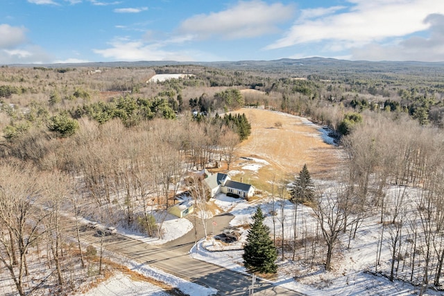 drone / aerial view featuring a mountain view