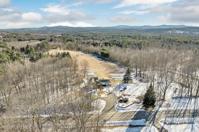 bird's eye view with a mountain view