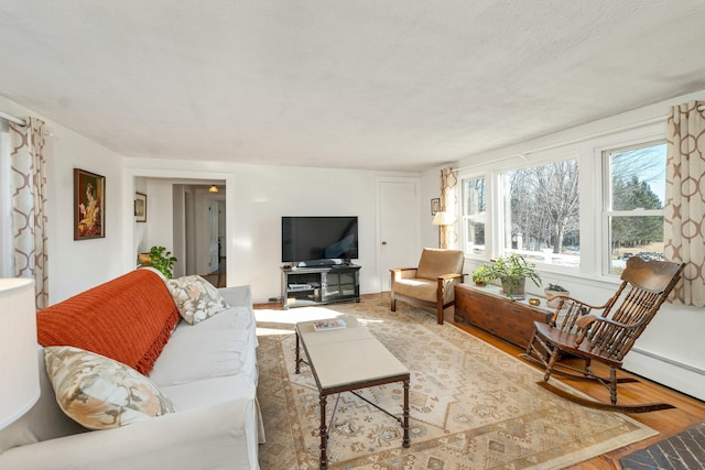 living room with wood-type flooring and a baseboard radiator