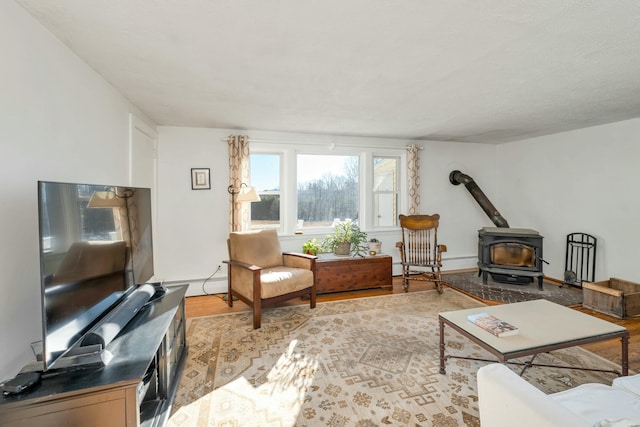 living room featuring light hardwood / wood-style floors and a wood stove