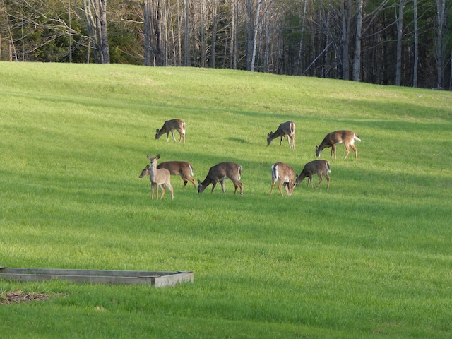 view of community featuring a lawn