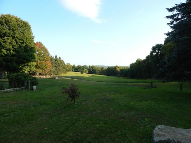 view of community with a yard