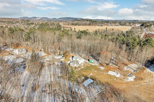 drone / aerial view featuring a mountain view